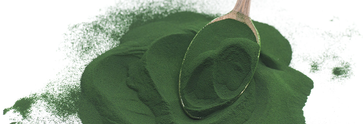 spirulina